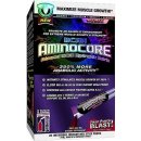 Allmax Aminocore 400 g