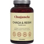Chaganela Extrakt čagy s reishi 270 kapslí – Hledejceny.cz