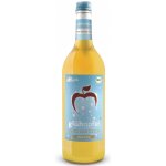 Elbler Nápoj svařené jablko bez alkoholu 0,75 l – Zboží Mobilmania