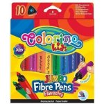 Colorino R16018 10 ks – Zboží Živě