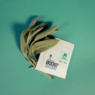 Integra Boost Terpene Essentials Pinen 67g, 62%, 1 ks – Zbozi.Blesk.cz