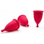 Silver Care Hygienický menstruační kalíšek velikost L – Zboží Dáma