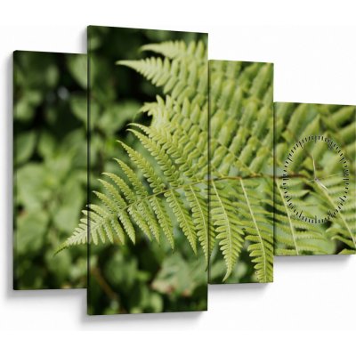 Obraz - Kapradinový list (s hodinami), Čtyřdílný 110x75 cm s hodinami – Hledejceny.cz