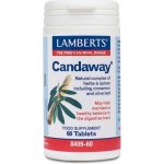Lamberts Candaway 60 tablet – Hledejceny.cz