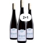 Weingut Polz Grüner Veltliner Steinfeder "Ried Obere Pointen" 2025 11,5% 0,75 l (holá láhev) – Hledejceny.cz