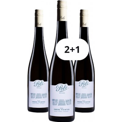 Weingut Polz Grüner Veltliner Steinfeder "Ried Obere Pointen" 2025 11,5% 0,75 l (holá láhev) – Hledejceny.cz