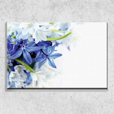 IMPAR Foto na plátně Modré a bílé květy 90x60 cm