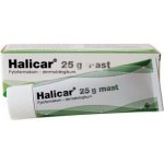 HALICAR DRM UNG 25G – Hledejceny.cz