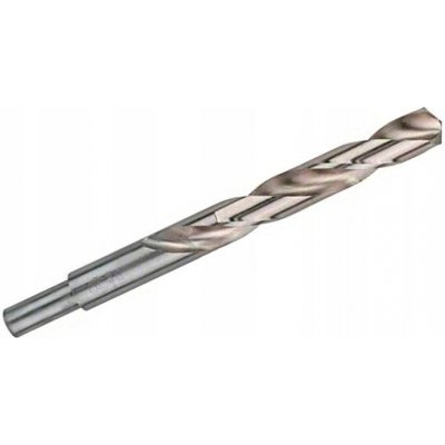 Bosch 2608585595 – Hledejceny.cz