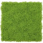 Umělý stabilizovaný mech PREMIUM světlý, 50 x 50cm – Zboží Mobilmania
