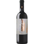 Feudi Salentini Rosso Appassimento 2022 15% 0,75 l (holá láhev) – Hledejceny.cz