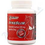 Nutricius Syneslim 120 tablet – Hledejceny.cz