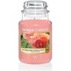 Dárkový poukaz YANKEE CANDLE Sun-Drenched Apricot Rose svíčka 623g