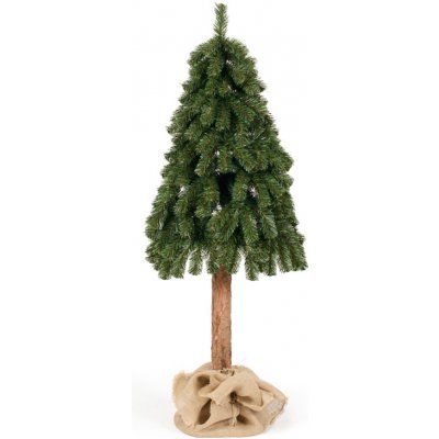 JUNIOR Stromeček vánoční Smrk horský 150 cm – Hledejceny.cz