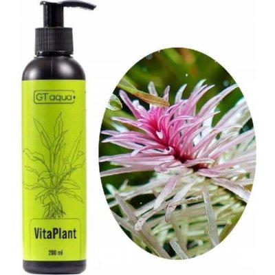 GT Aqua VitaPlant 200 ml – Zbozi.Blesk.cz