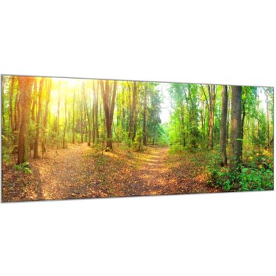 Obraz skleněný lesní pěšina - 60 x 90 cm – Zboží Mobilmania