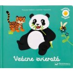 Spoznávaj dotykom - Vzácne zvieratá - Pascale Hédelin, Camille Tisserand ilustrátor – Hledejceny.cz