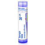 SPONGIA TOSTA POR 30CH GRA 4G – Hledejceny.cz