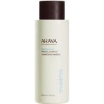 Ahava minerální Shampoo na vlasy 400 ml – Zbozi.Blesk.cz