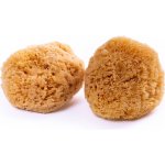 Caribbean Sun Mycí houba karibská 12-13 cm bez provázku – Hledejceny.cz