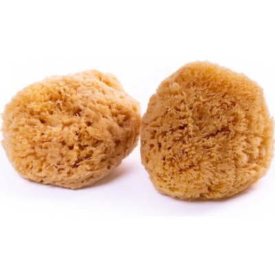 Caribbean Sun Mycí houba karibská 12-13 cm bez provázku – Hledejceny.cz