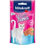 Vitakraft Cat Yums Losos Omega 3 40 g – Hledejceny.cz