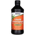 Now Foods Liquid Chlorophyll & Mint tekutý chlorofyl 473 ml – Hledejceny.cz