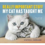 Really Important Stuff My Cat Has Taught Me – Hledejceny.cz