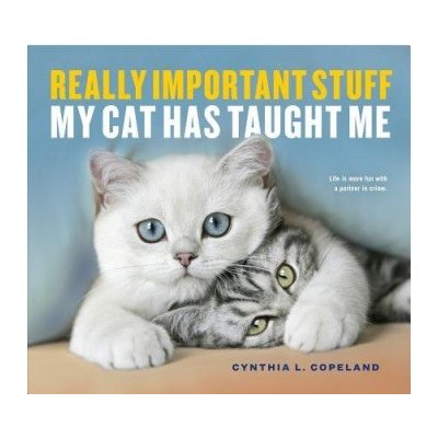 Really Important Stuff My Cat Has Taught Me – Hledejceny.cz