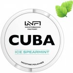 Cuba White Ice Spearmint Ledová Máta Extra Strong 16 mg/g 20 sáčků – Zboží Mobilmania