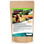 SlovakiaFarma Pivovarské kvasnice 1 kg – Hledejceny.cz