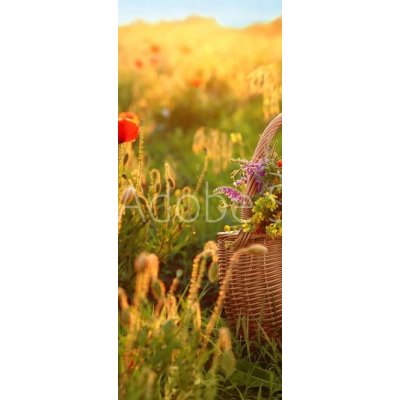 WEBLUX 276027409 Samolepka na dveře fólie Basket of wildflowers with straw hat in sunlit poppy fieldKoš květin s slaměný klobouk v sluncem zalité makovém poli rozměry 90 x 220 cm