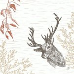 BioDunisoft Ubrousek WOOD & DEER 100031779 40x40cm 60ks – Sleviste.cz