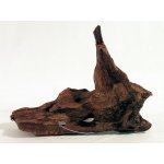 Decor Wood Kořen DriftWood Bulk S 24-29 cm – Hledejceny.cz