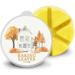 Goose Creek Candle Vonný Vosk Raking Leaves 59 g – Hledejceny.cz