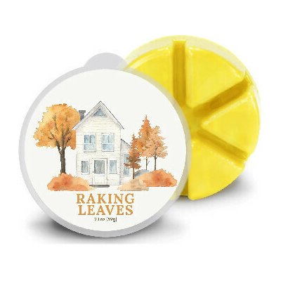 Goose Creek Candle Vonný Vosk Raking Leaves 59 g – Hledejceny.cz