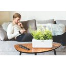 Click And Grow SmartGarden CNG SG3 WHI bílý