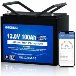 DC HOUSE LiFePo4 12V 100Ah bluetooth – Hledejceny.cz
