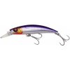 Návnada a nástraha Savage Gear Gravity Runner Extra Fast Sinking Bloody Anchovy PHP 10cm 55g