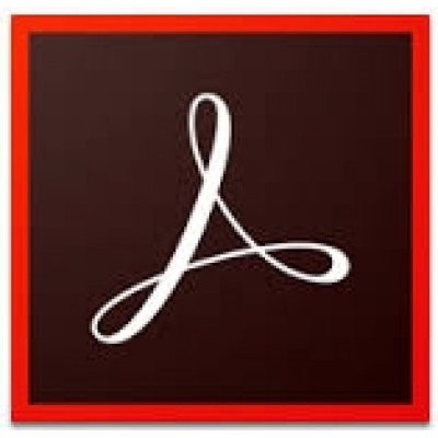 Adobe Acrobat Pro for TEAMS MP ML vč. CZ 12 měsíců 65304521CA01A12 – Zboží Živě