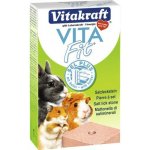 Vitakraft Vita Fit Solný kámen pro hlodavce 40 g – Zbozi.Blesk.cz