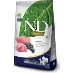 N&D Prime dog GF Medium & Maxi Lamb & Blueberry 2,5 kg – Zboží Dáma