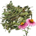 Aniland Echinacea listy a stonky 50 g – Zbozi.Blesk.cz