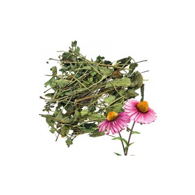 Aniland Echinacea listy a stonky 50 g – Zbozi.Blesk.cz