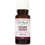 Dr. Popov vonný olej Divoká třešeň 10 ml – Hledejceny.cz