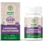 Ekolife Natura Liposomal Glutathione 30 kapslí – Hledejceny.cz