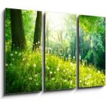 Obraz 3D třídílný - 105 x 70 cm - Spring Nature. Beautiful Landscape. Green Grass and Trees Jarní příroda. Krásná krajina. Zelená tráva a stromy – Hledejceny.cz