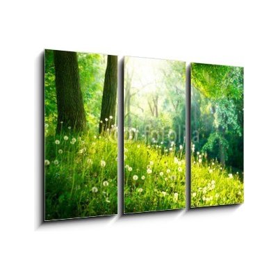 Obraz 3D třídílný - 105 x 70 cm - Spring Nature. Beautiful Landscape. Green Grass and Trees Jarní příroda. Krásná krajina. Zelená tráva a stromy – Hledejceny.cz