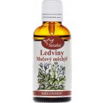 Serafin tinktura ze směsi pupenů Ledviny a močový měchýř 50 ml – Hledejceny.cz