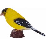 Mojo Čížek žlutý – Sleviste.cz